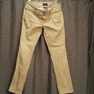 American Eagle Skinny Khakis